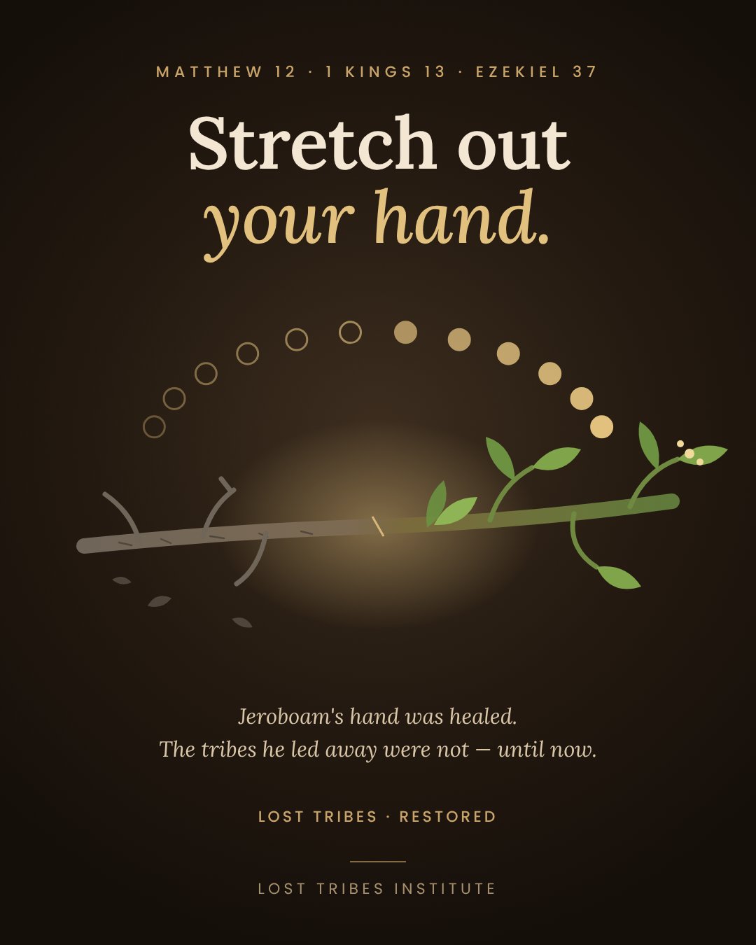 Two sticks joined into one, one dry and one green, under an arc of twelve stones